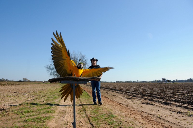 Photos Liberty Wings