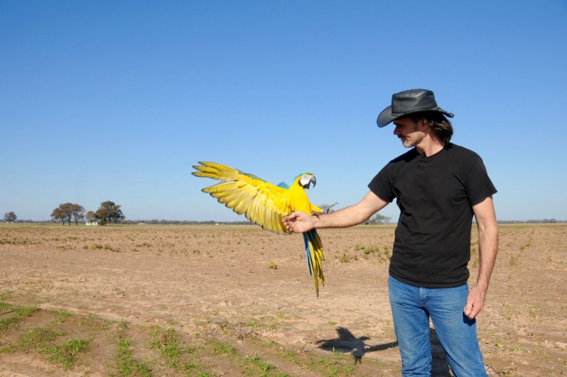 Photos Liberty Wings