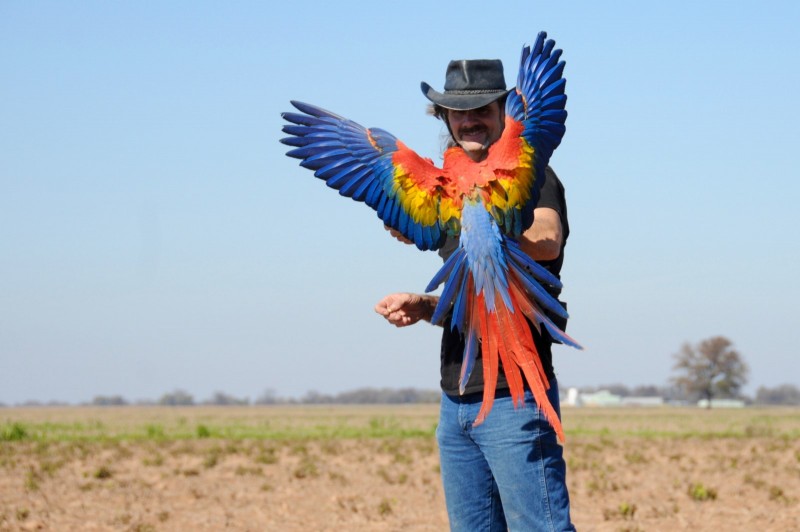 Photos Liberty Wings