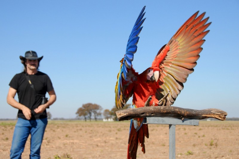 Photos Liberty Wings