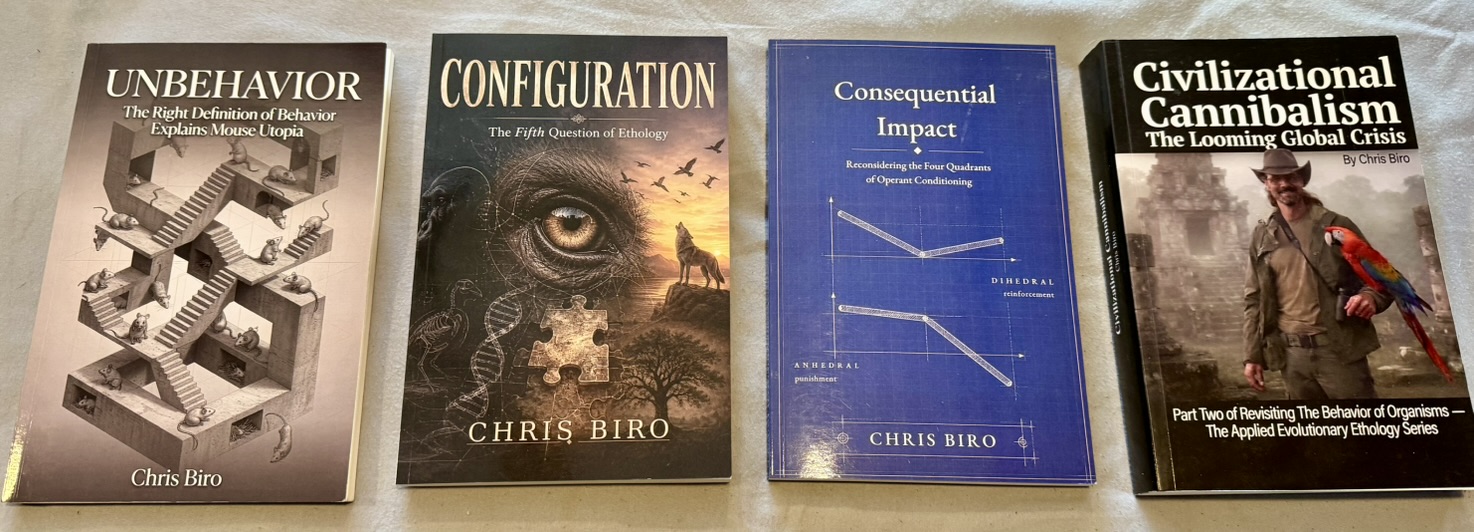 Paperback copies of four books by Chris Biro