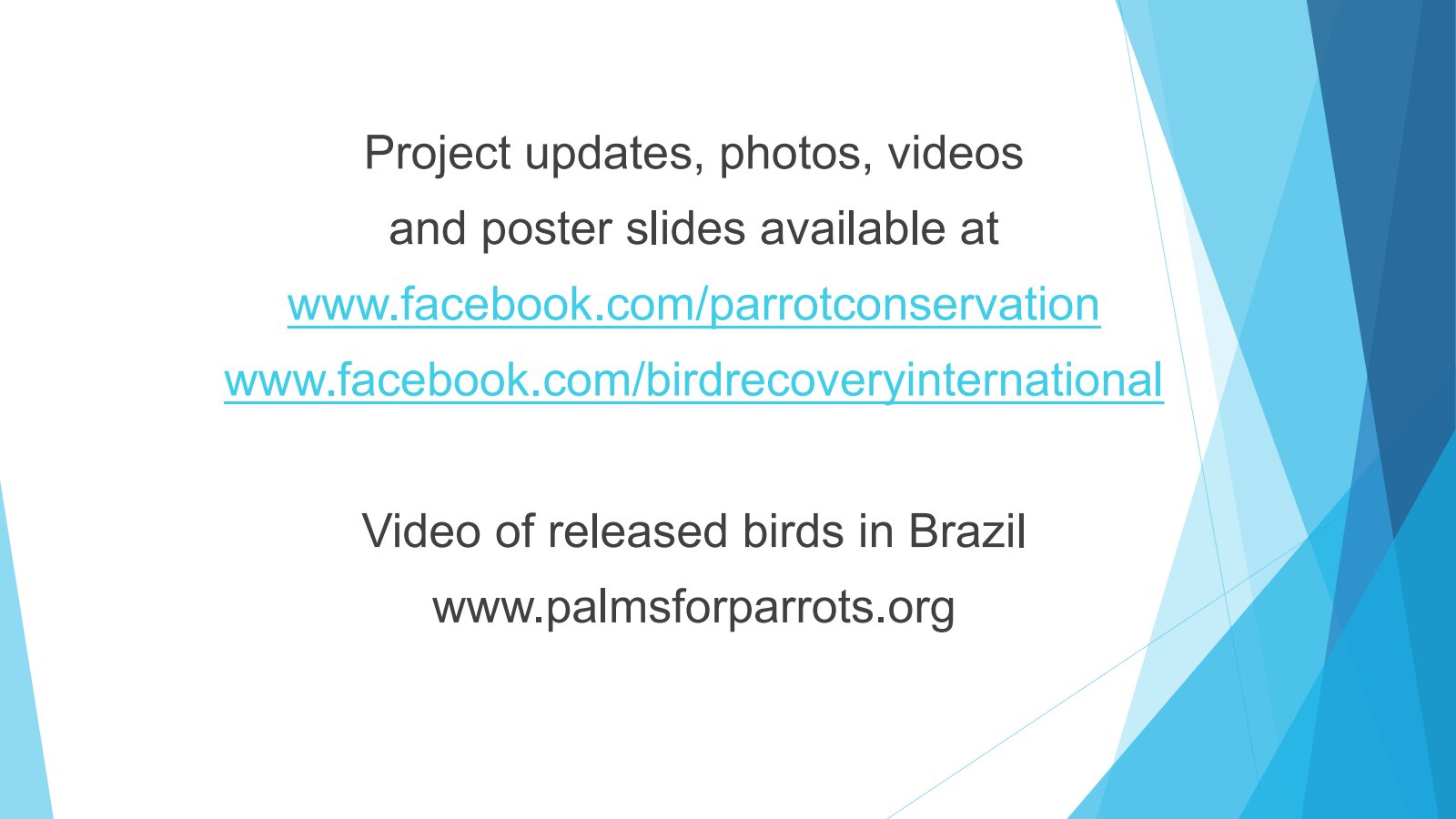 Poster: Project updates, photos and videos links